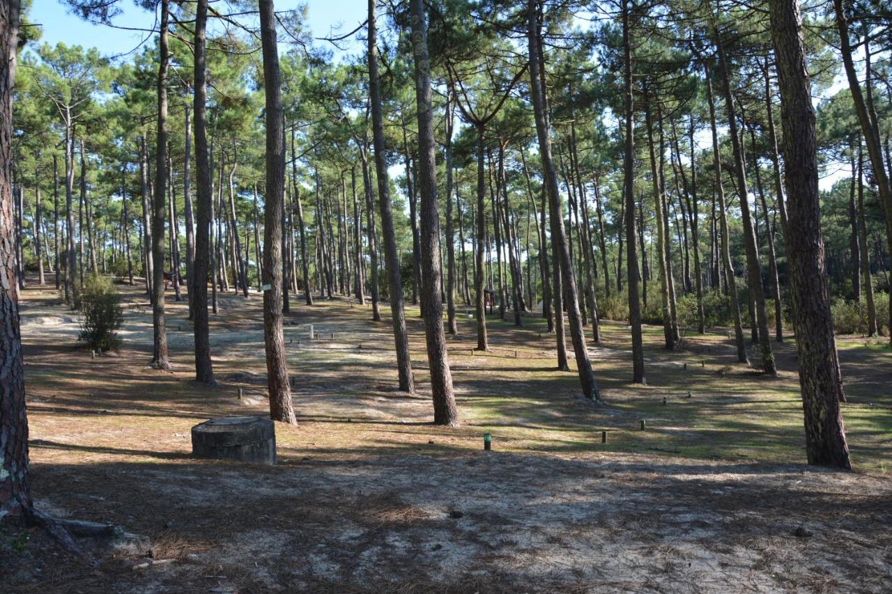 Wellness Sport Camping - La Dune Bleue Carcans Bagian luar foto